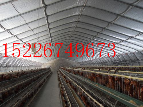 圓管大棚圖片/圓管大棚樣板圖 (3)