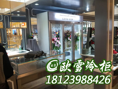 東莞鮮花保鮮柜有哪些廠家品牌在出售供應(yīng)