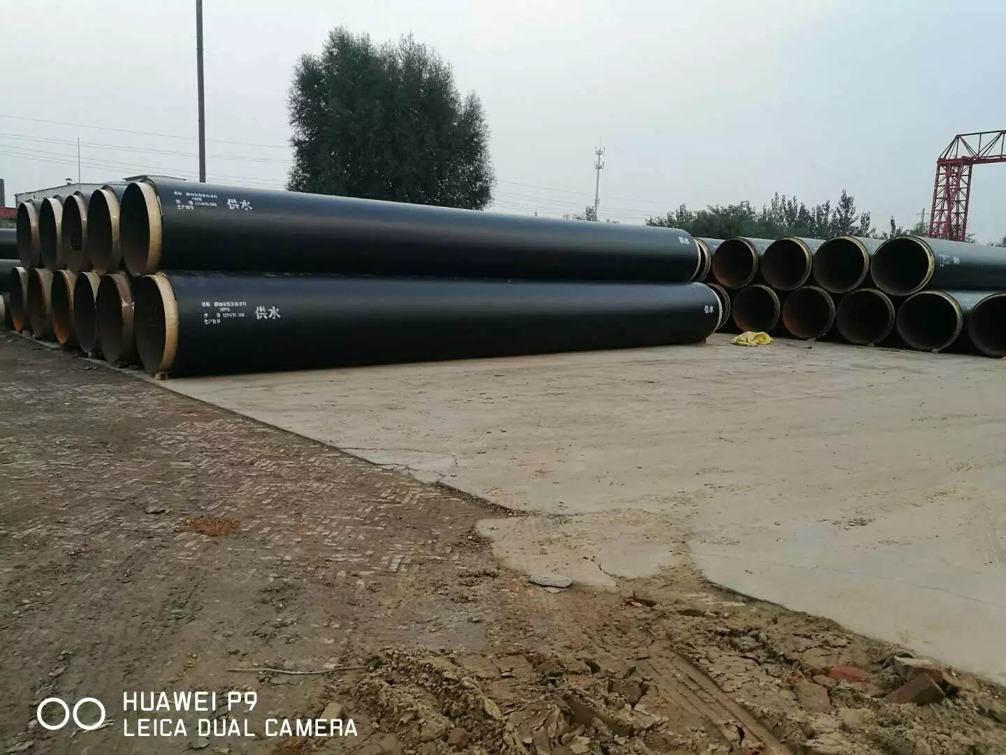 鋼套鋼蒸汽直埋保溫鋼管 河北鋼套鋼蒸汽直埋保溫鋼管  鋼套鋼蒸汽直埋保溫鋼管批發(fā)