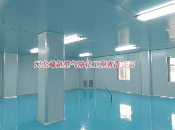 無菌車間圖片/無菌車間樣板圖 (4)