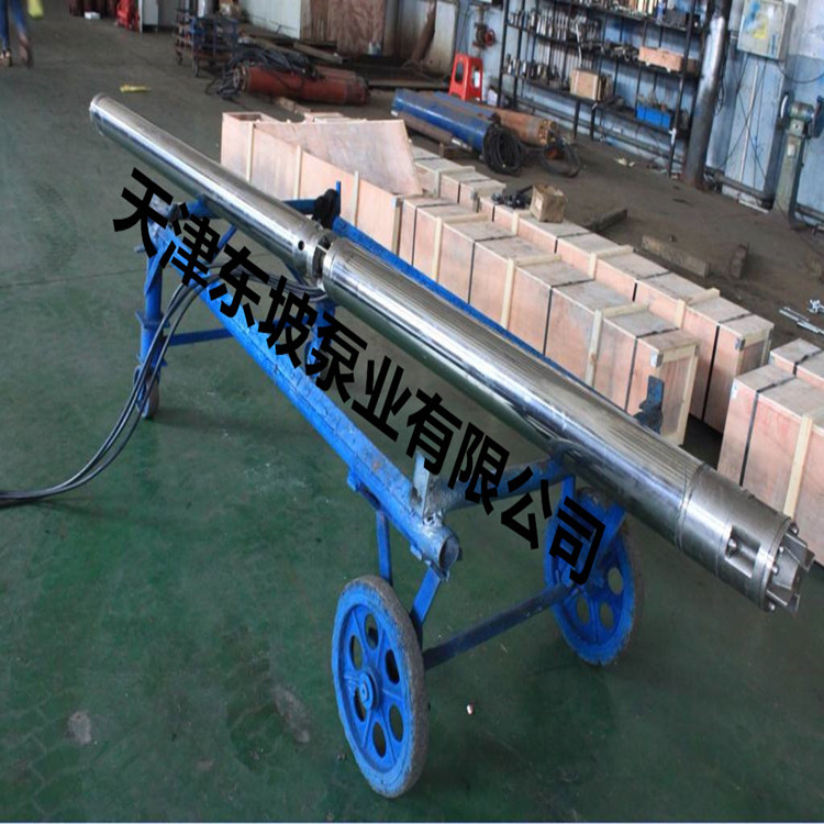 天津潛油電泵  潛油電泵報(bào)價(jià)  不銹鋼潛油電泵