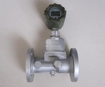 漩進(jìn)漩渦流量計(jì)圖片