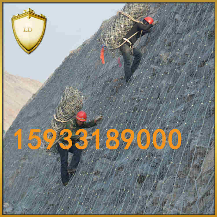 鋼絲繩網圖片/鋼絲繩網樣板圖 (4)