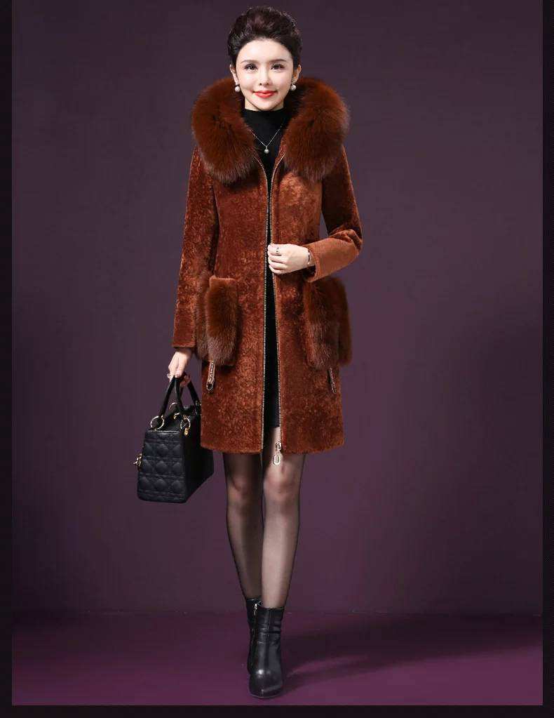 高端羊剪絨大衣圖片/高端羊剪絨大衣樣板圖 (1)