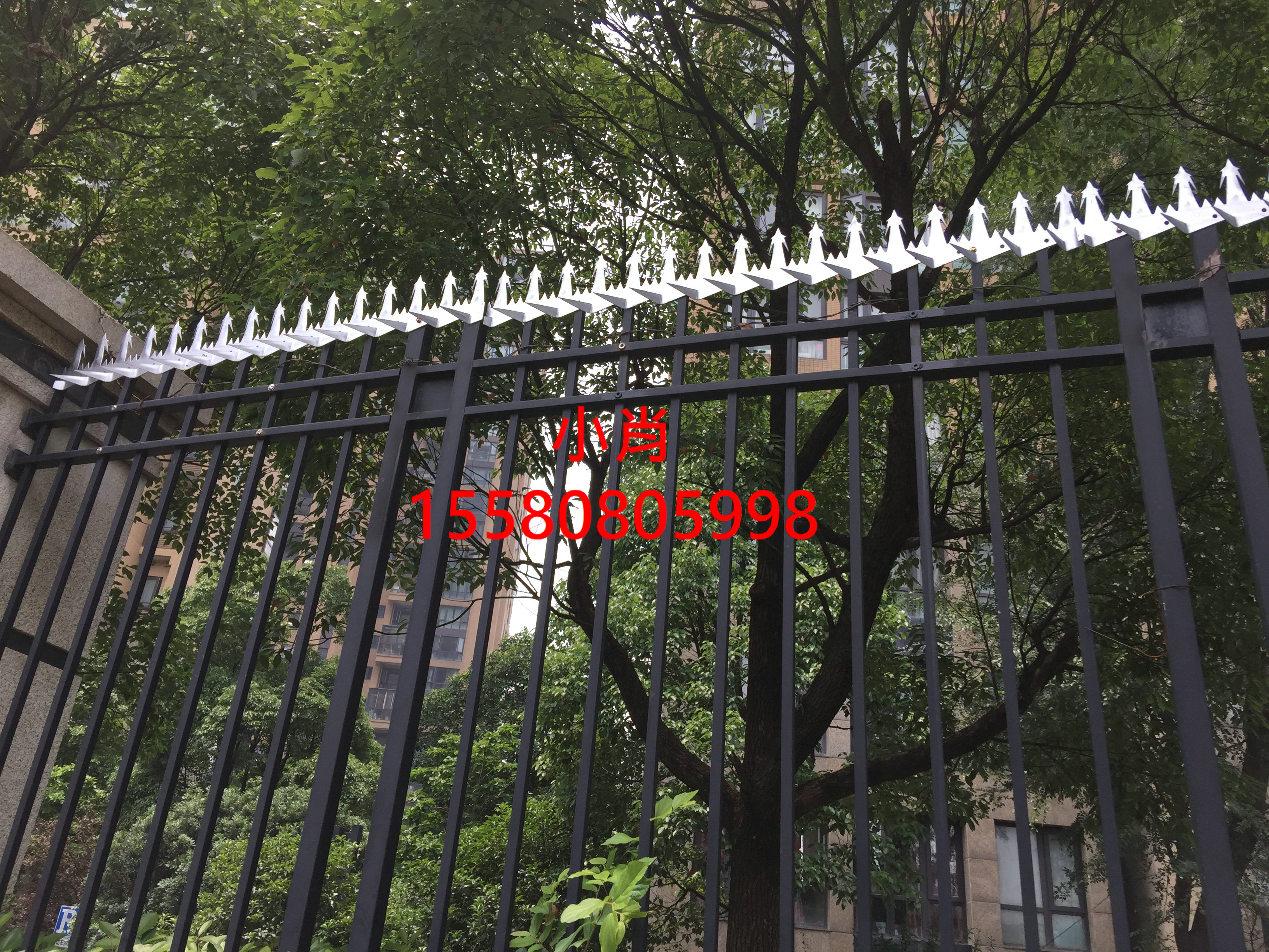 防爬刺圖片/防爬刺樣板圖 (1)