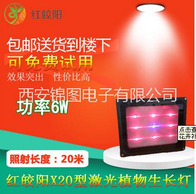 新款8W植物生長燈 低耗電大面積補光燈