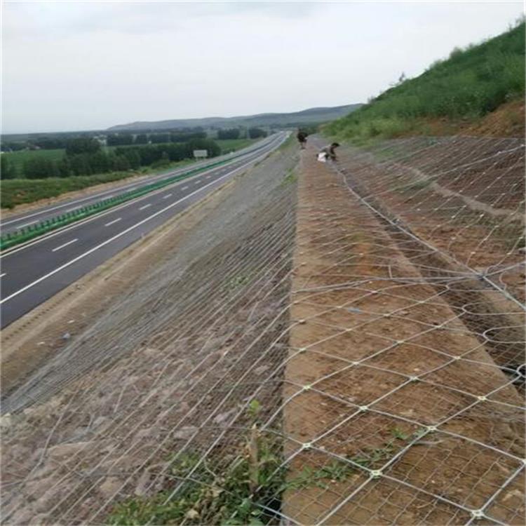 衡水市河北山坡防护网.山坡防护网厂家厂家河北山坡防护网.山坡防护网厂家