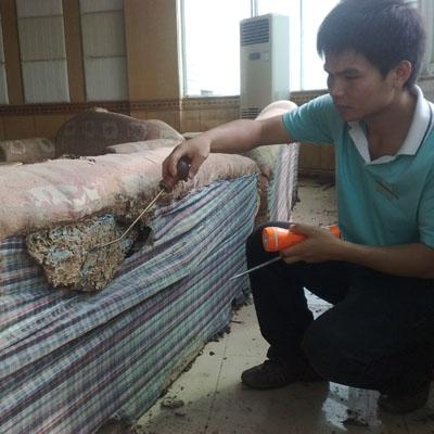 白蟻防治圖片/白蟻防治樣板圖 (2)