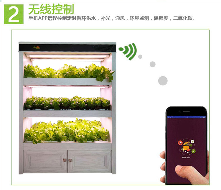全智能植物工廠生態(tài)菜養(yǎng)柜現(xiàn)代智能圖片/全智能植物工廠生態(tài)菜養(yǎng)柜現(xiàn)代智能樣板圖 (2)