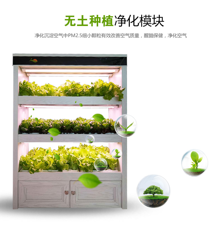 全智能植物工厂生态菜养柜无土栽培 全智能植物工厂生态菜养柜现代智能