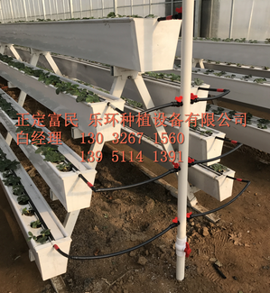 立體種植圖片/立體種植樣板圖 (3)