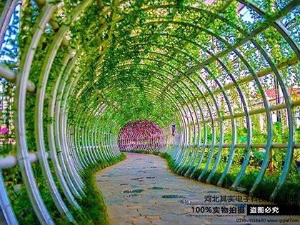 綠色生態(tài)圖片/綠色生態(tài)樣板圖 (3)