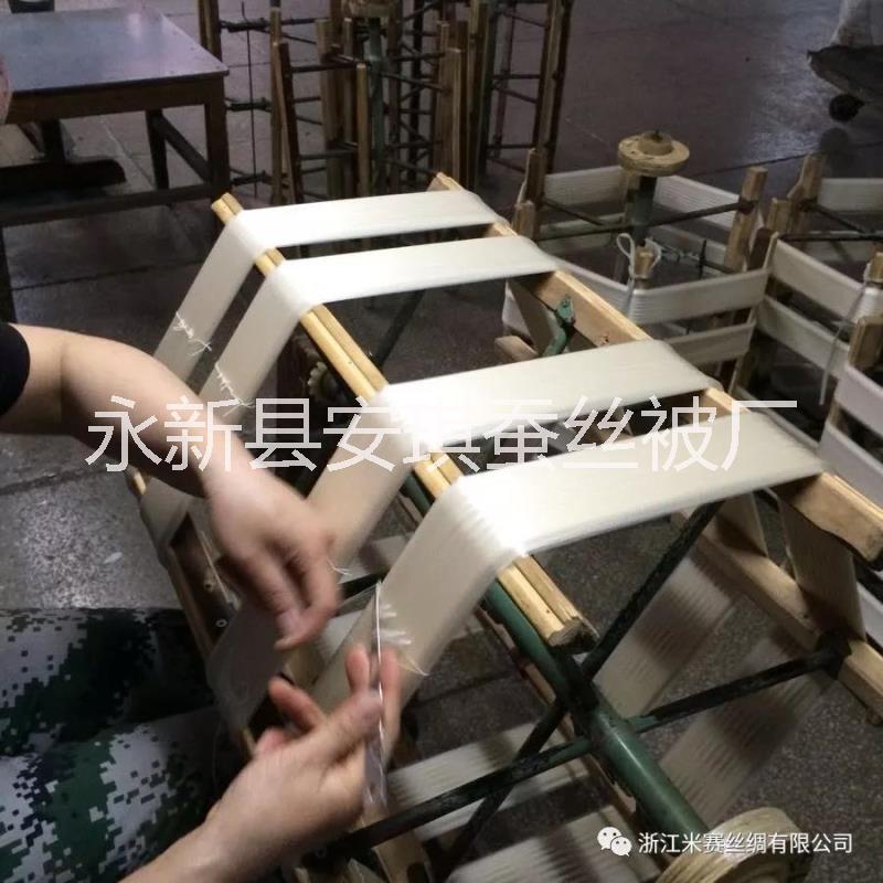 蠶絲圖片/蠶絲樣板圖 (3)