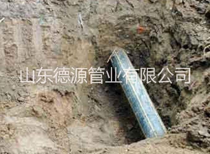 聚乙烯PE燃?xì)夤軋D片/聚乙烯PE燃?xì)夤軜影鍒D (3)