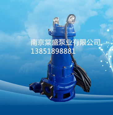 WQR20-9-1.5南京棠盛泵業(yè)WQR20-9-1.5三相380伏排污泵