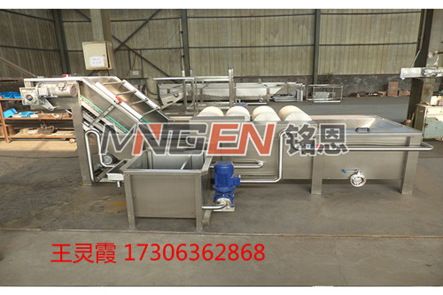 全自動(dòng)連續(xù)蔬菜沖浪清洗機(jī)圖片/全自動(dòng)連續(xù)蔬菜沖浪清洗機(jī)樣板圖 (3)