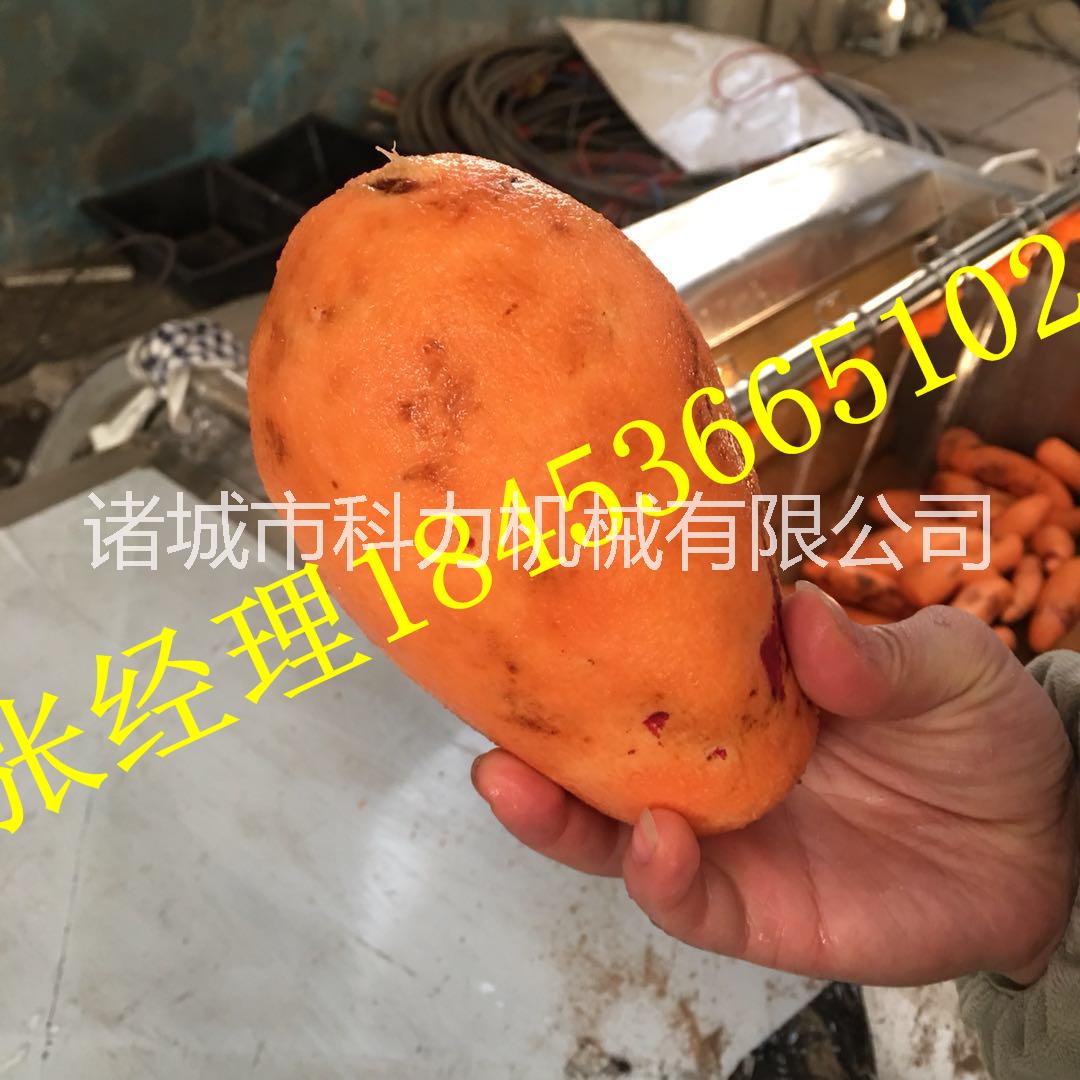 毛刷清洗機(jī)圖片/毛刷清洗機(jī)樣板圖 (2)