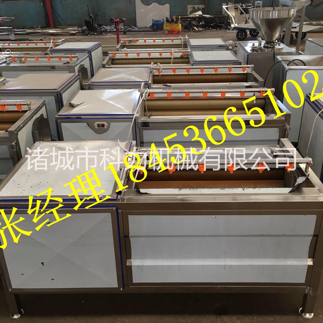 南瓜去皮毛刷清洗機(jī) 豬腳去毛毛輥洗刷設(shè)備 荸薺土豆脫皮機(jī)器 張