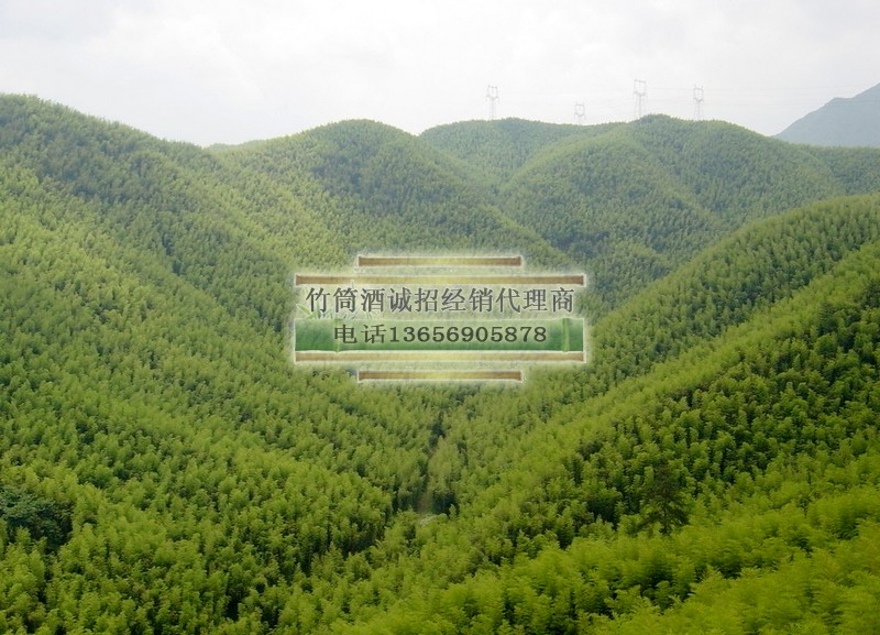 內(nèi)蒙竹筒酒圖片/內(nèi)蒙竹筒酒樣板圖 (4)