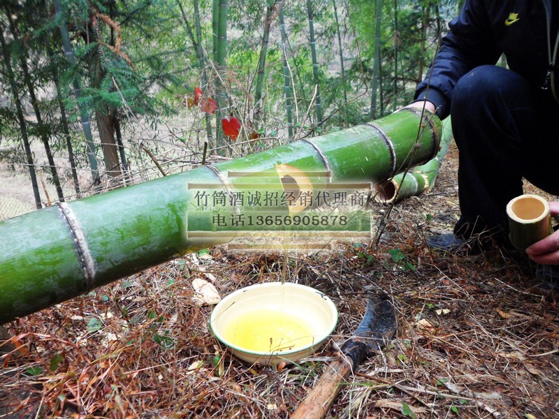內(nèi)蒙竹筒酒--青竹酒巴彥淖爾代理 原生態(tài)52度竹釀酒興安盟市場(chǎng)分銷