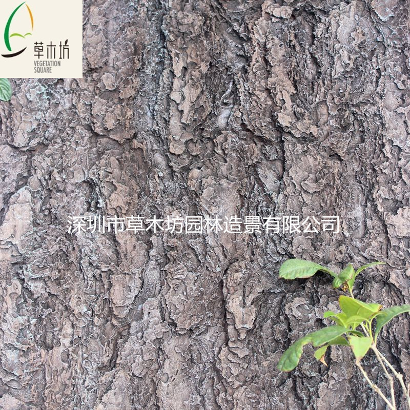供應(yīng)韓國松樹皮 仿真樹皮 假樹皮 廠家直銷