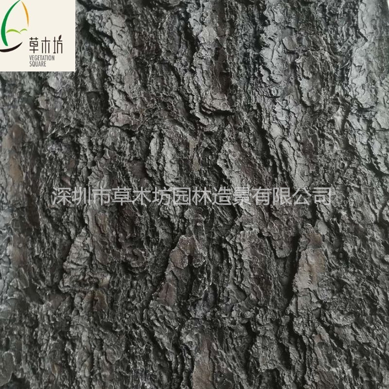 樹皮圖片/樹皮樣板圖 (2)