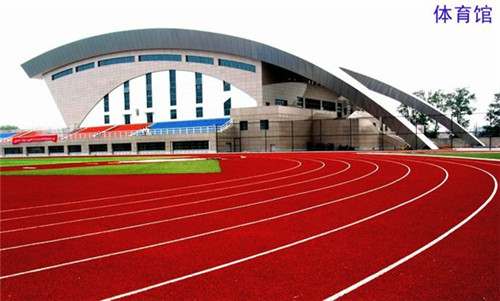 硅PU籃球場圖片/硅PU籃球場樣板圖 (1)