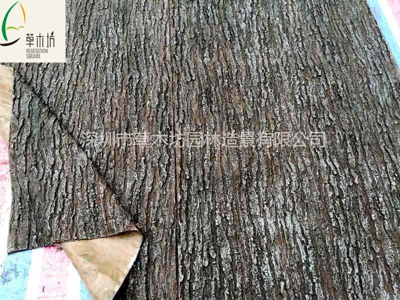 廠家直銷 白楊樹皮 古樹修復(fù)樹皮 假樹皮 仿真樹皮