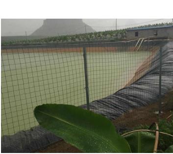 防滲布圖片/防滲布樣板圖 (3)