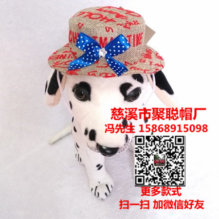 寵物用品寵物圖片/寵物用品寵物樣板圖 (4)