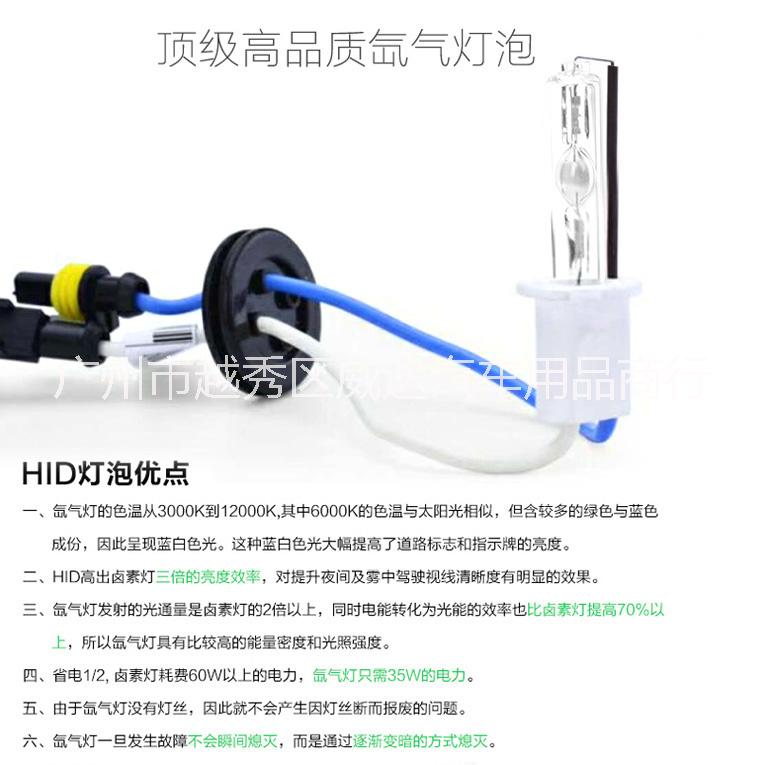 釣魚氙氣燈圖片/釣魚氙氣燈樣板圖 (2)