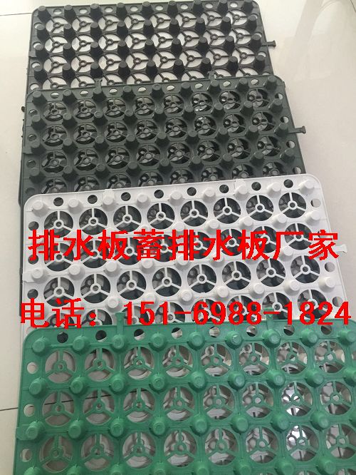 車庫(kù)排水板圖片/車庫(kù)排水板樣板圖 (1)