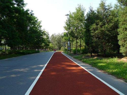 塑膠跑道圖片/塑膠跑道樣板圖 (2)