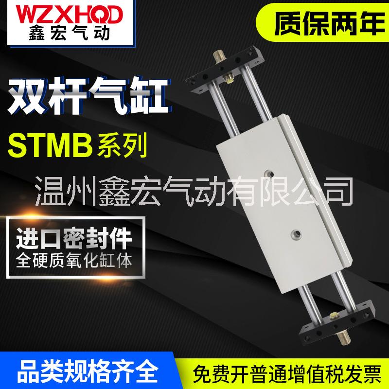 STMB雙桿氣缸