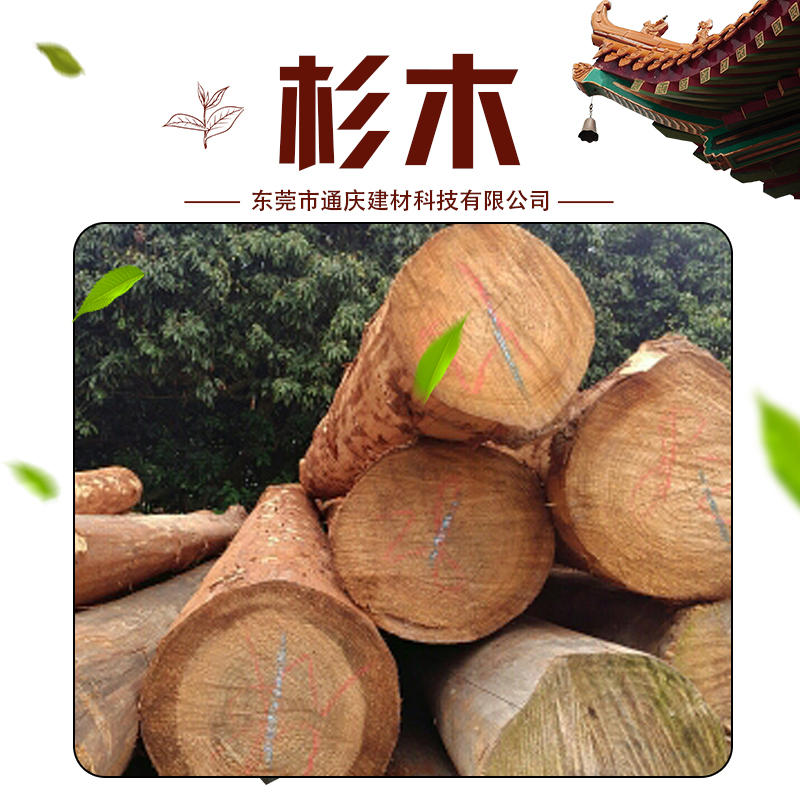 供應(yīng) 杉木圖片/供應(yīng) 杉木樣板圖 (3)