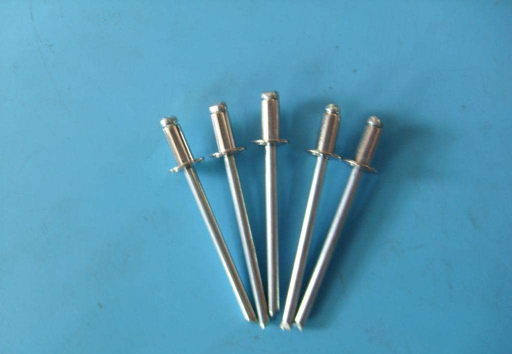 紅色拉鉚釘圖片/紅色拉鉚釘樣板圖 (4)