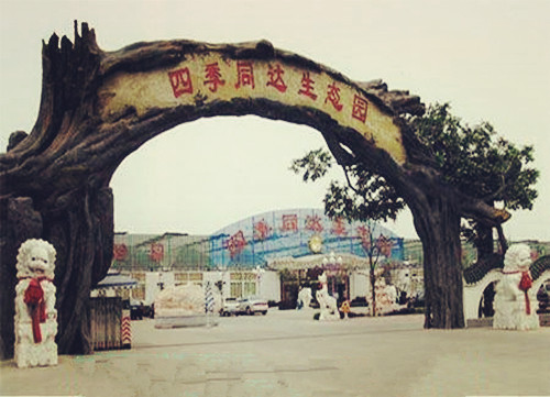 景觀假樹圖片/景觀假樹樣板圖 (1)