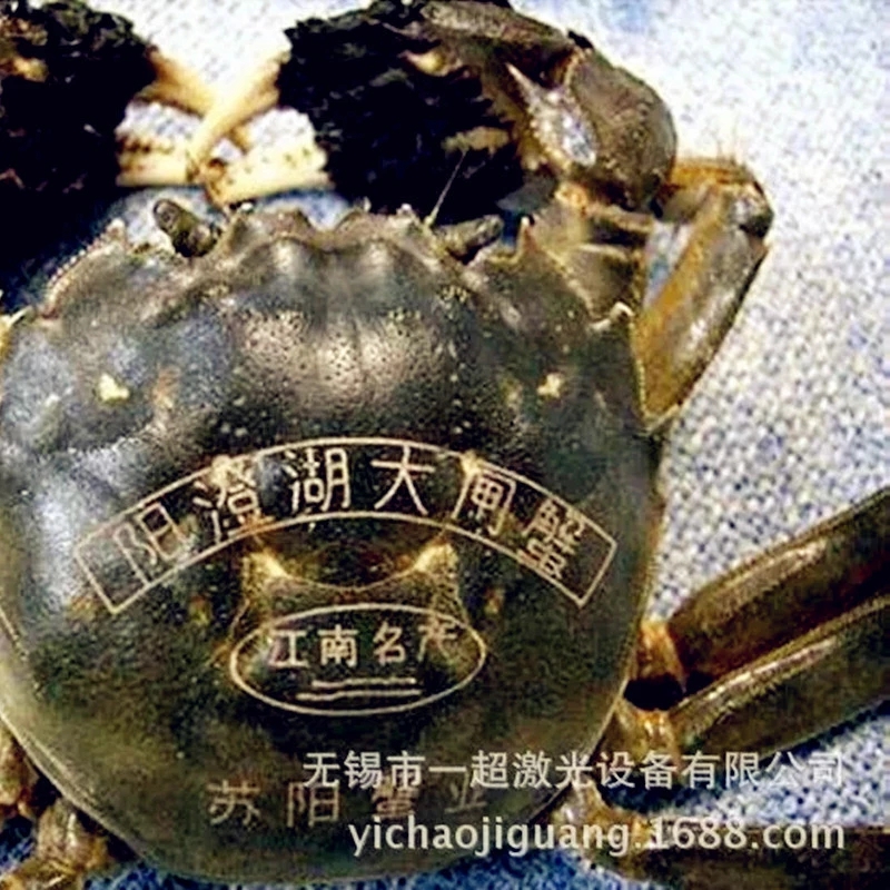 激光打標(biāo)機(jī)圖片/激光打標(biāo)機(jī)樣板圖 (3)