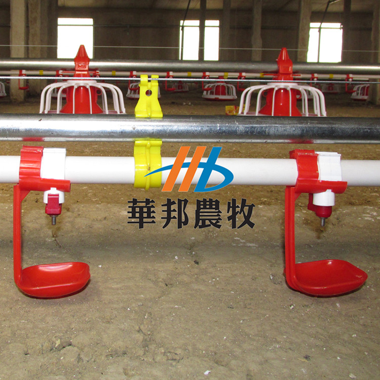 山東華邦供應(yīng)自動(dòng)化養(yǎng)雞水線圖片