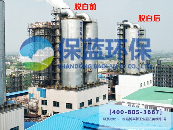 煙氣脫白 電磁脫白 電廠脫白專家圖片