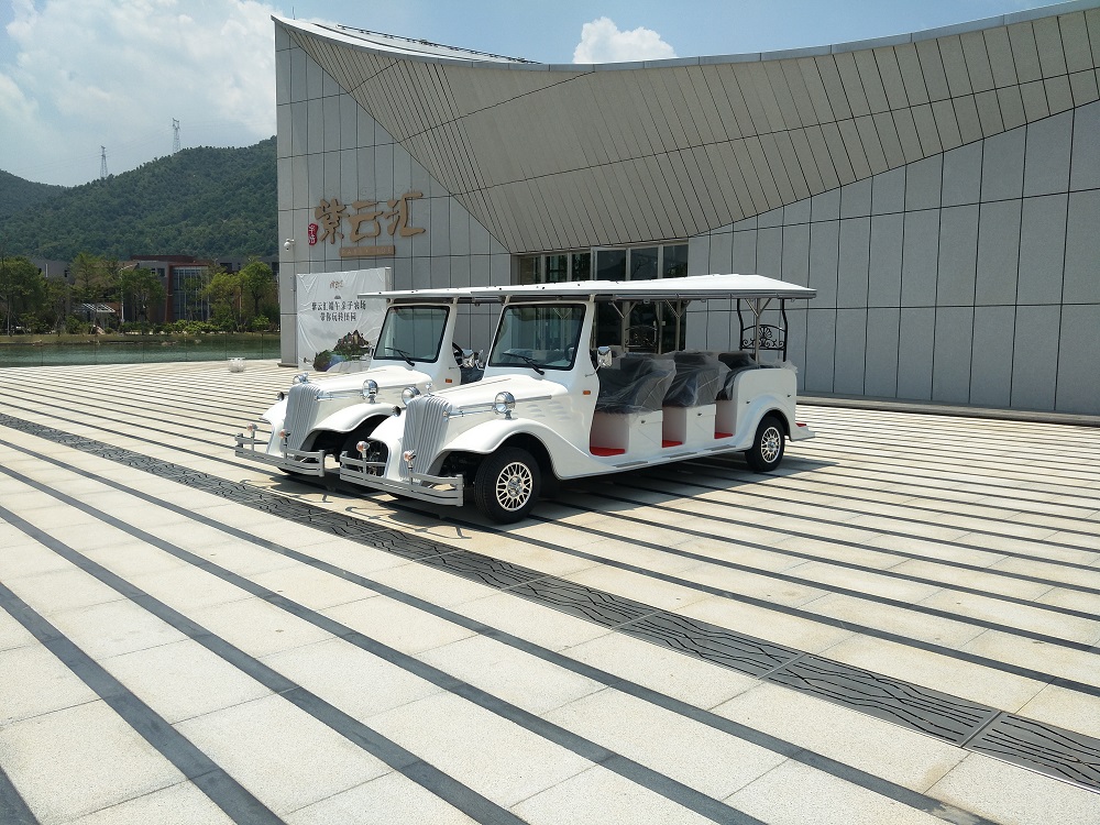 廣東肇慶8座電動(dòng)老爺車圖片