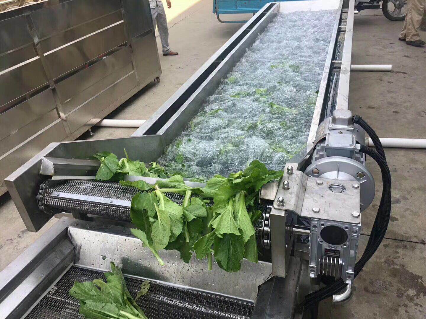 凈菜加工流水線圖片/凈菜加工流水線樣板圖 (1)