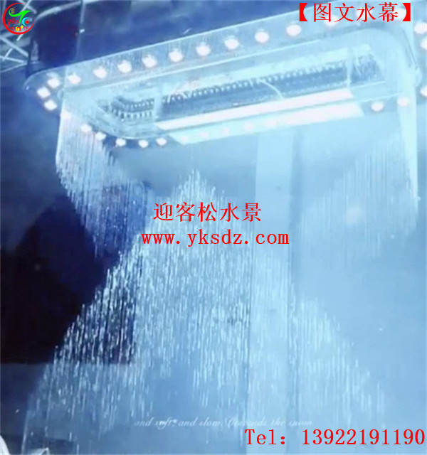 迎客松圖片/迎客松樣板圖 (1)