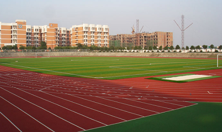 足球場(chǎng)圖片/足球場(chǎng)樣板圖 (4)