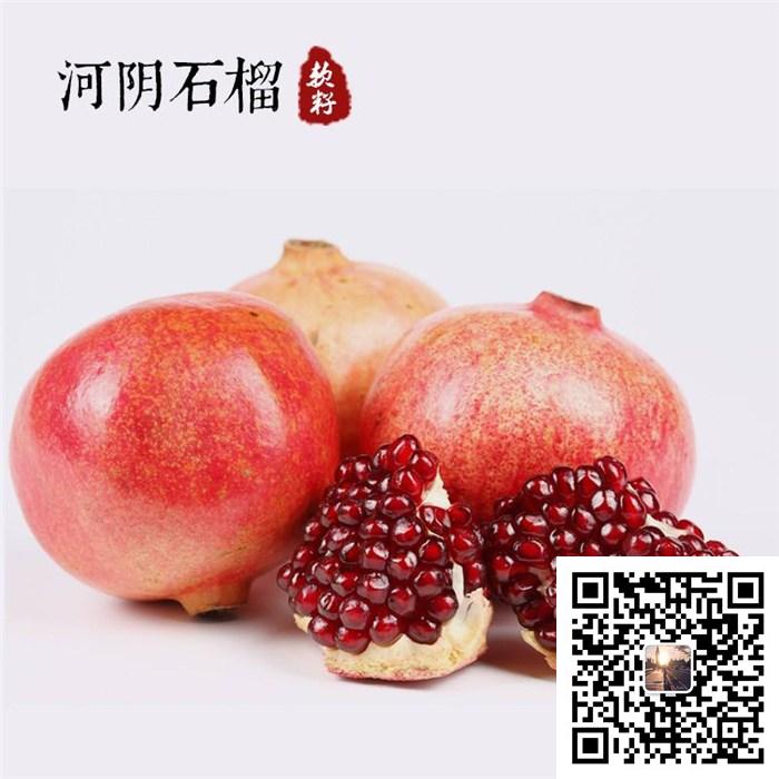 河陰軟籽石榴圖片/河陰軟籽石榴樣板圖 (4)