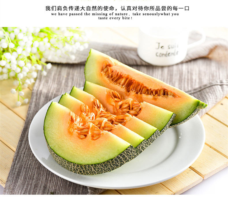 鄭州哈密瓜團(tuán)購(gòu)批發(fā)圖片/鄭州哈密瓜團(tuán)購(gòu)批發(fā)樣板圖 (3)
