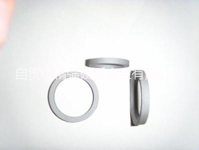 硬質(zhì)合金密封環(huán)圖片/硬質(zhì)合金密封環(huán)樣板圖 (2)