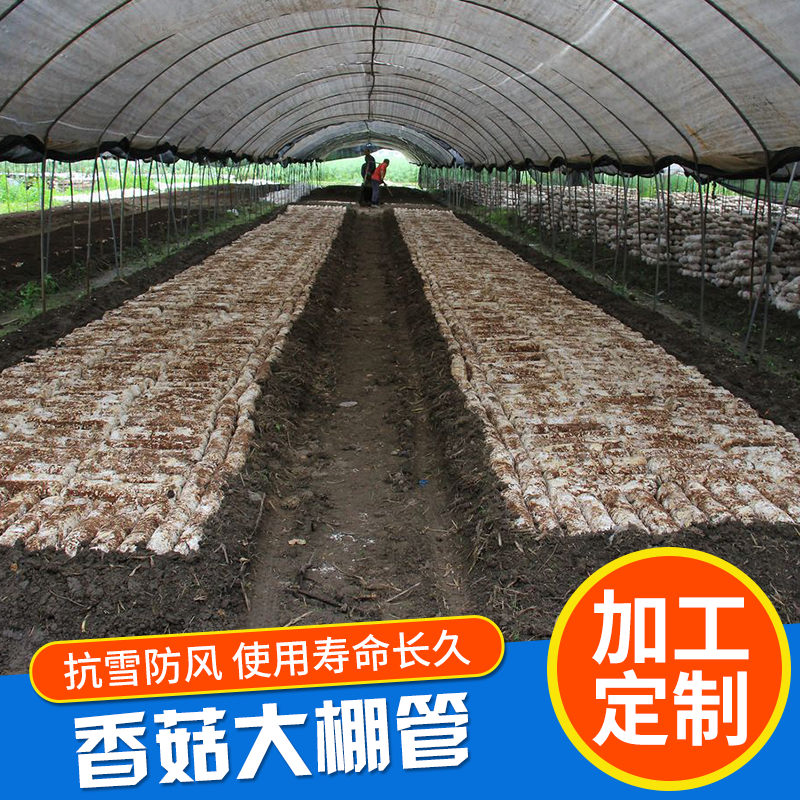 大棚骨架圖片