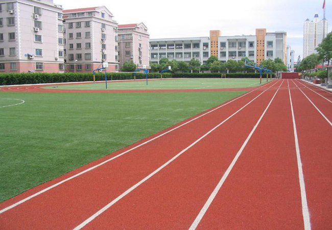 塑膠跑道圖片/塑膠跑道樣板圖 (3)