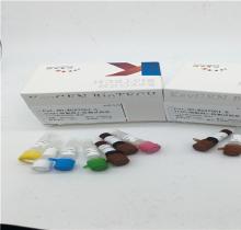 凱基  KGA7051圖片